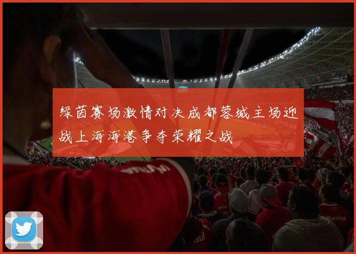 绿茵赛场激情对决成都蓉城主场迎战上海海港争夺荣耀之战