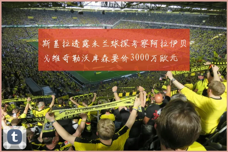 斯基拉透露米兰球探考察阿拉伊贝戈维奇勒沃库森要价3000万欧元